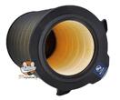 EFDBTH6 Ochranný filter Electrolux PURE A9 proti peľu 600 CADR