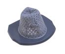 Filter Hoover S120