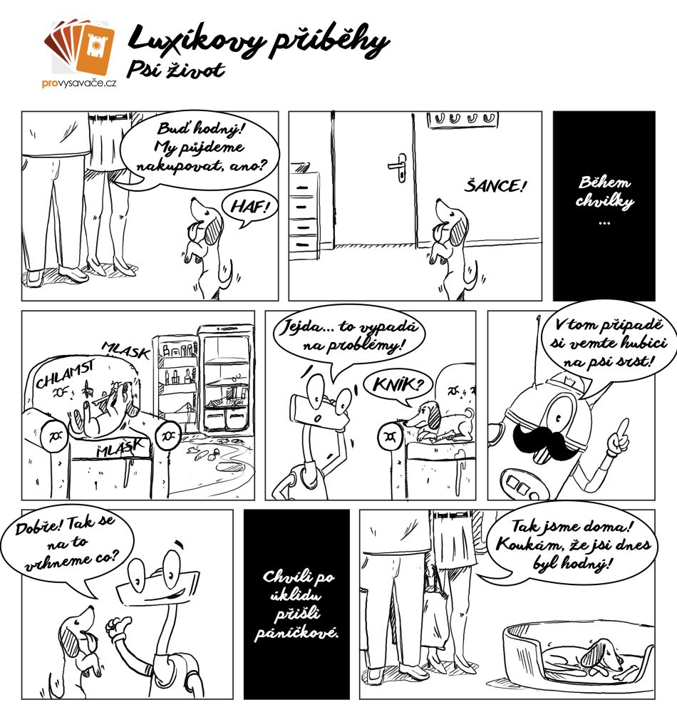 Luxík a psí nepořádek